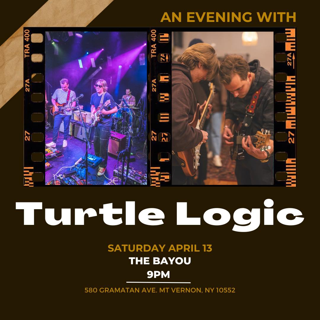 Turtle Logic at The Bayou